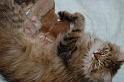 Nikita und ihre ersten Babies
